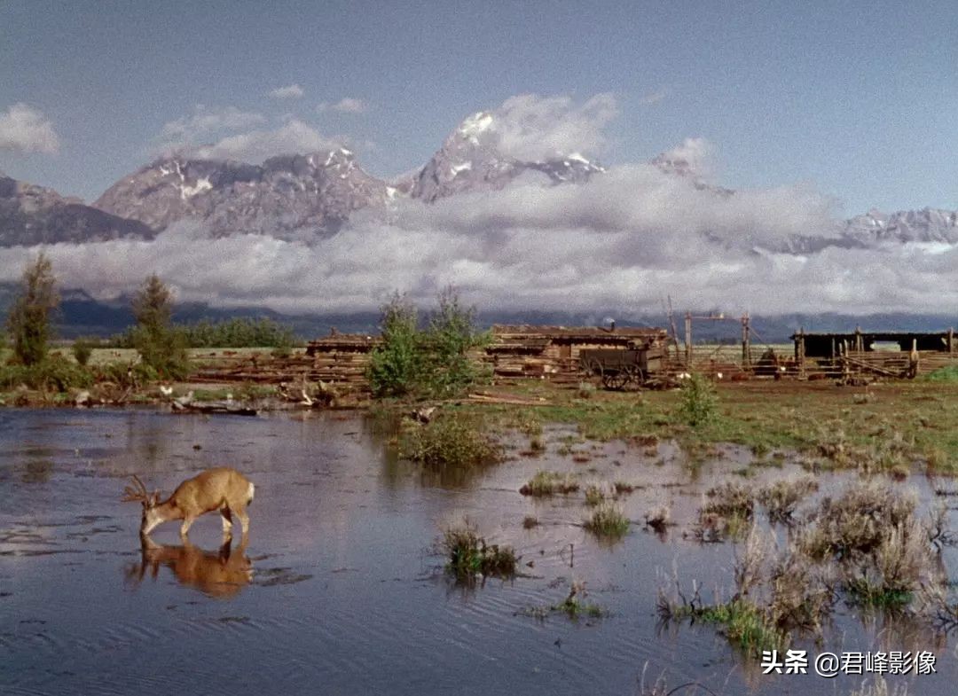 奥斯卡最佳摄影和最佳影片区别,2022奥斯卡最佳摄影影片