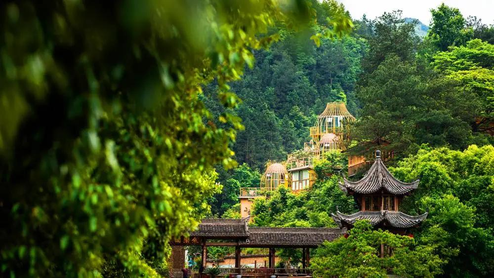 雨间的相遇，知音难觅