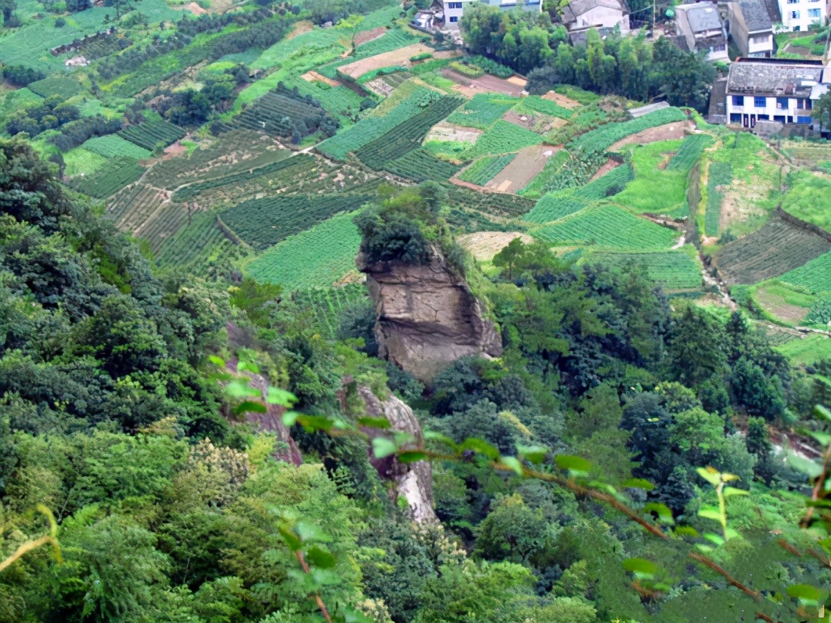 浙江雁荡山可以旅游了吗,浙江雁荡山三日游多少钱