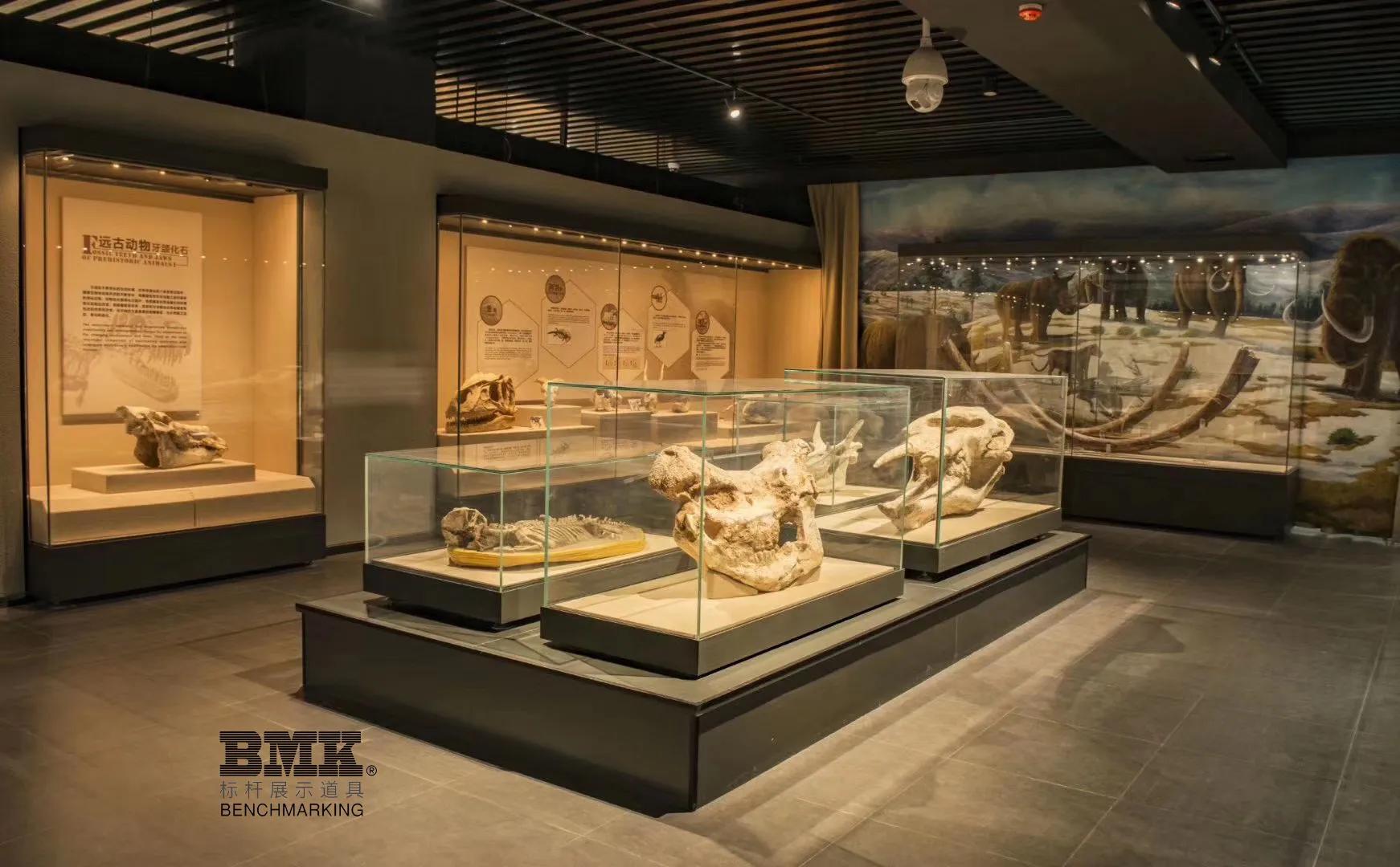 南京展柜厂家,南京展柜定制厂家