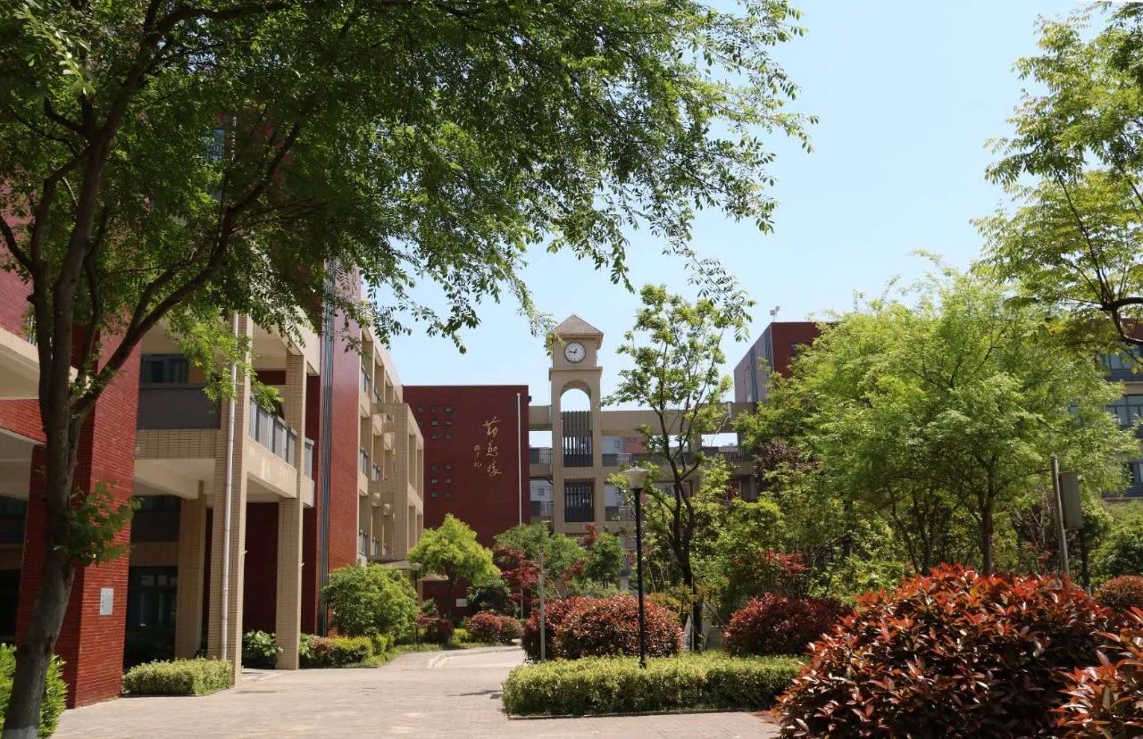 金中开学,金中岱山和雨花岱山
