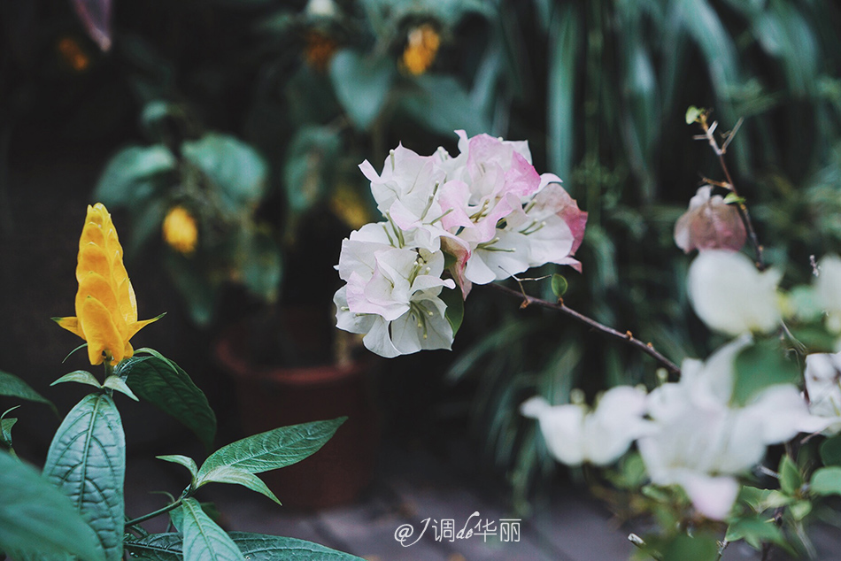 厦门没去过的地方,厦门没去过的景点