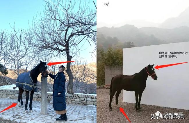 劳斯莱斯请“网红”夫妻,劳斯莱斯请了两个网红是谁