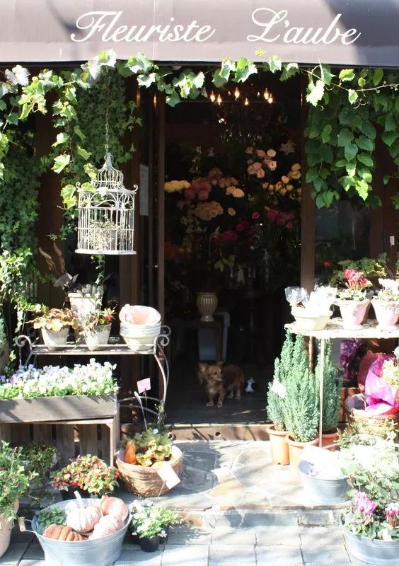 年轻人建议开花店吗,未来10年开花店好吗