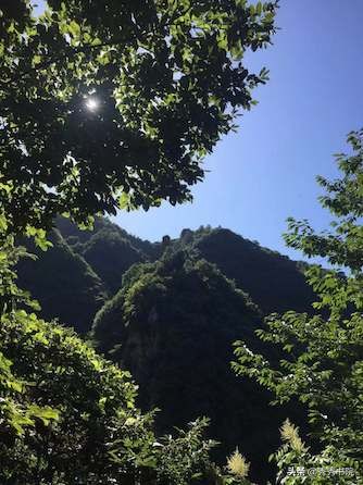 欲赴烟霞。识破浮华。这盏茶