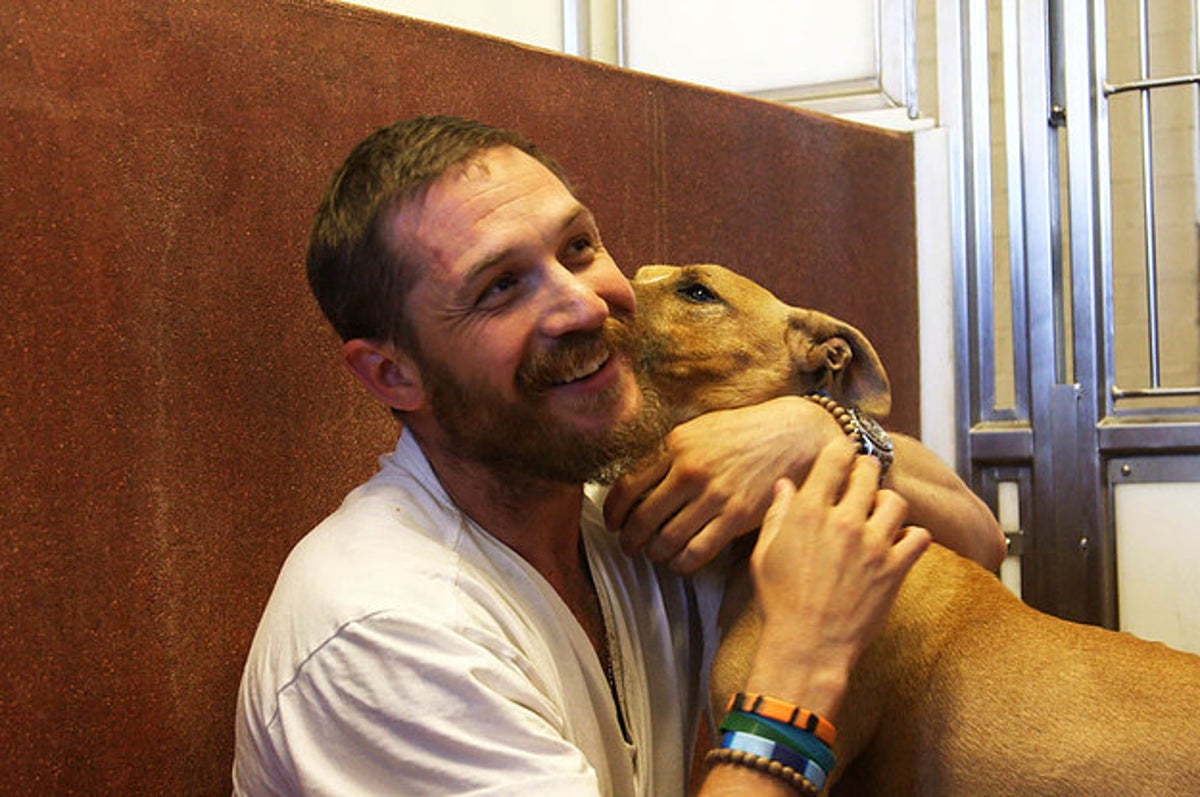 汤姆哈迪是一个极其自律的男人吗,汤姆哈迪一生回顾