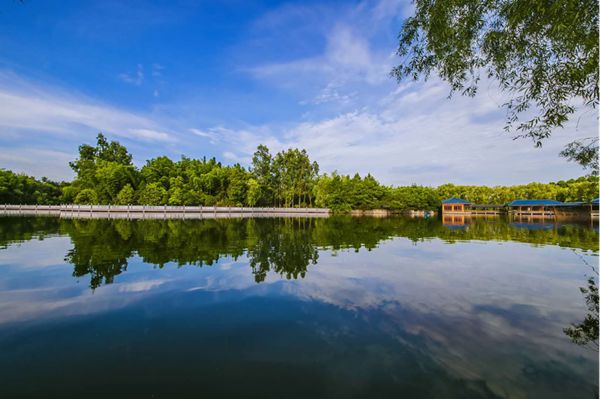 怀化民宿排行榜前十名,怀化适合亲子的民宿推荐