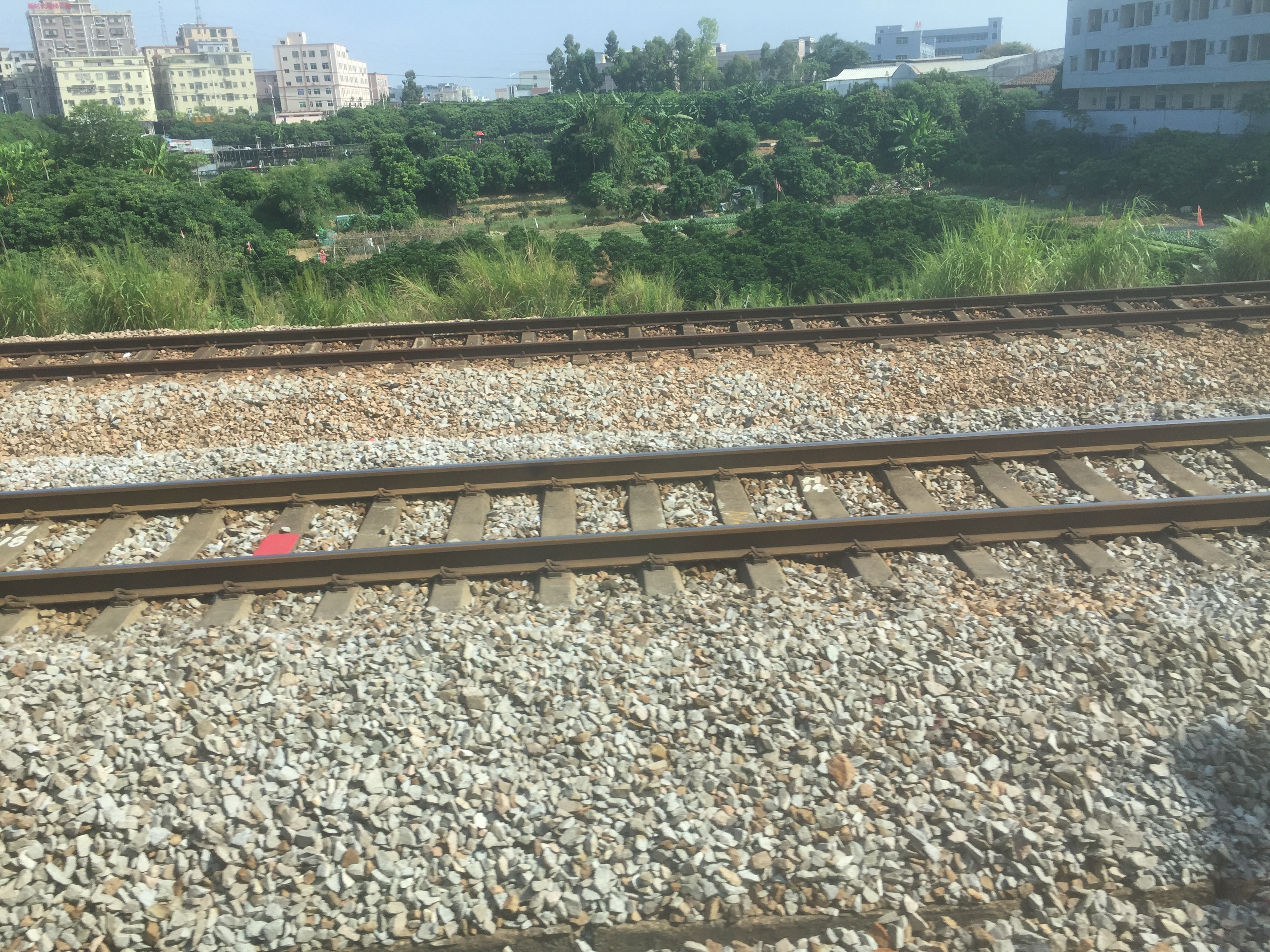 机场出发广州一日游自由行,广州一日游票价