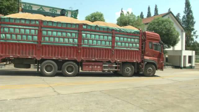 今年早稻收购价格怎样,早稻价格最新行情