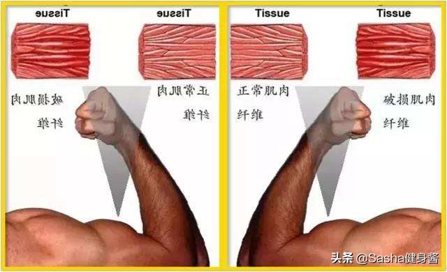 肌肉筋膜按摩枪有什么副作用吗,肌肉筋膜按摩枪的正确使用方法