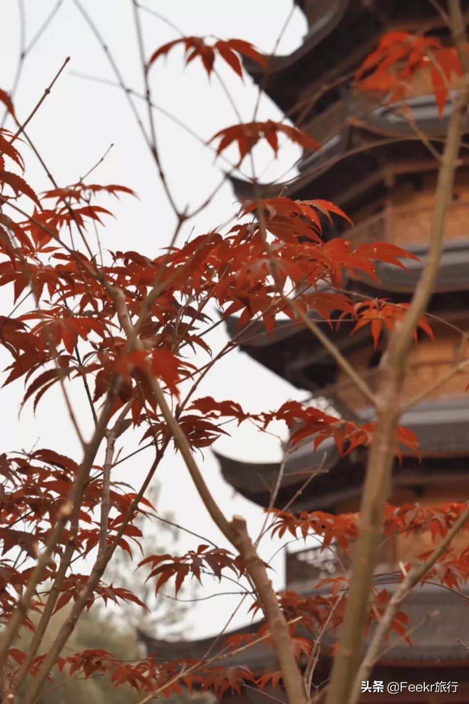 中国世界美食之都,中国世界美食之都排名