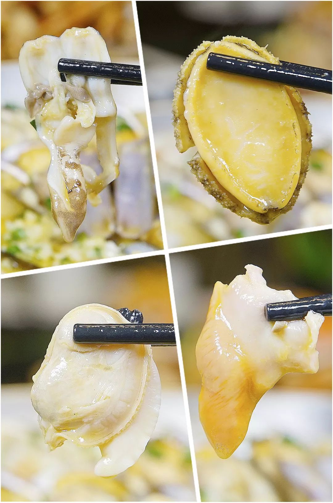 10张图片告诉你,100张渔船图片