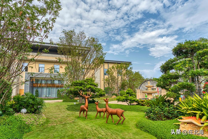 北海适合养老的一线海景房,北海比较漂亮的小区