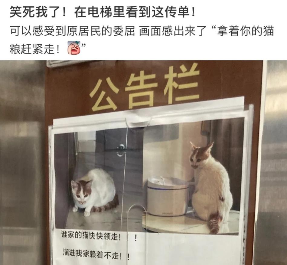 女朋友总是为难你该怎么办,当女朋友对你不耐烦了怎么办