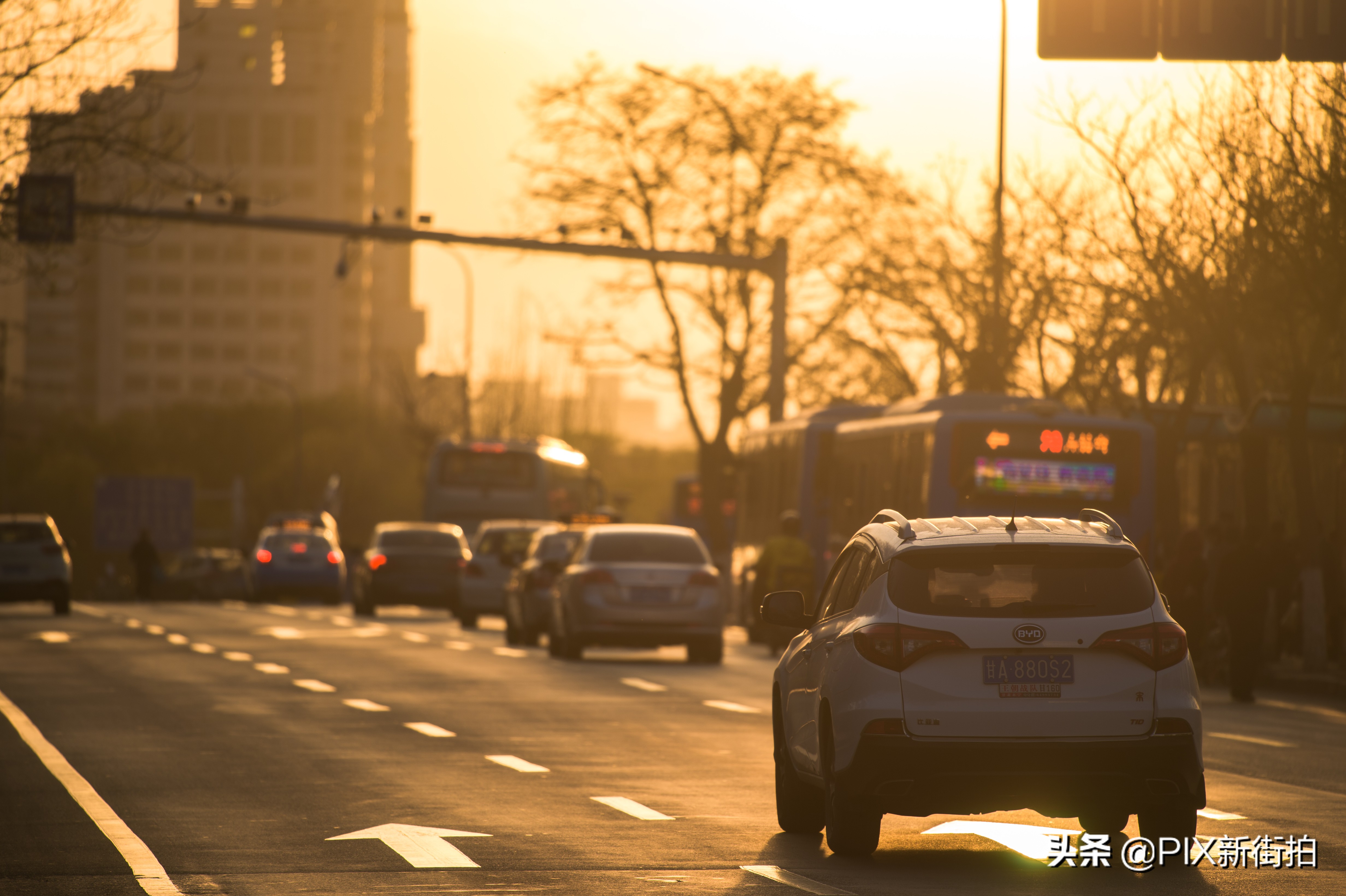 尼康70-300mmf4.5-6.3画质测评,尼康70-300和70-200f4的选择