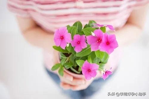 多囊卵巢的最佳治疗方法是什么,多囊卵巢最佳治疗方法有哪些