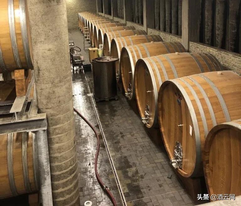 世界醉强合作社是怎样炼成的