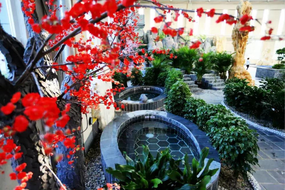 大午酒店选择,大午温泉酒店住宿价目表