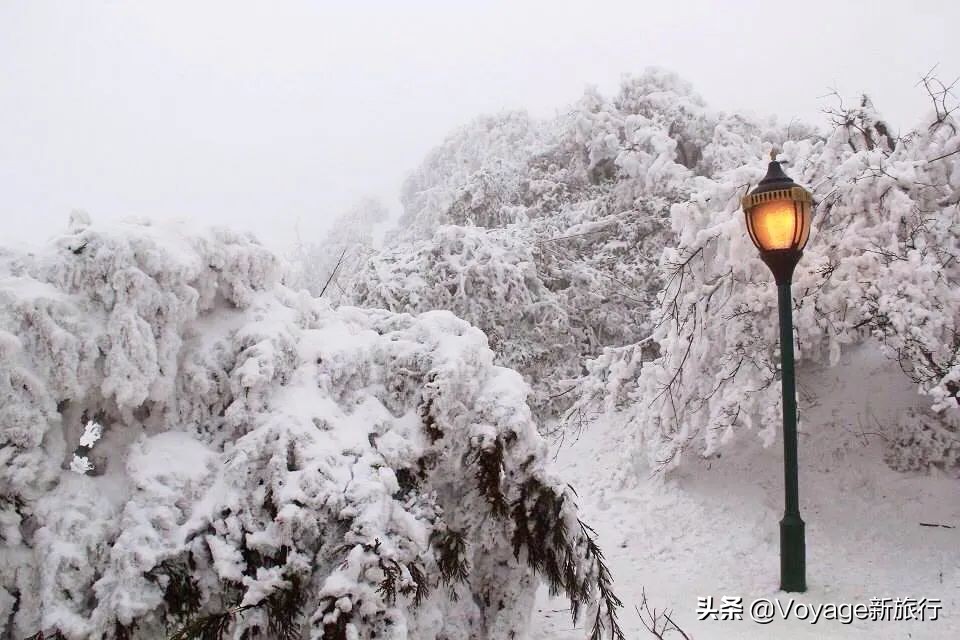 挑战21世纪最低温！我们为你盘点了比“泼水成冰”更美的冬日限定