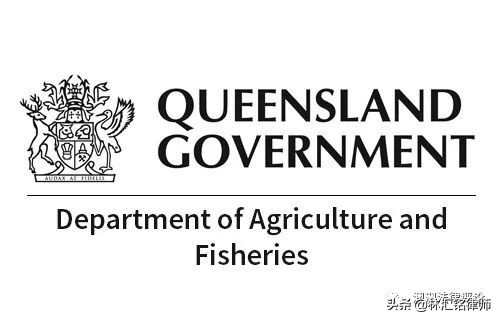 虐待国家保护动物在哪举报,反动物虐待保护法在哪儿投票