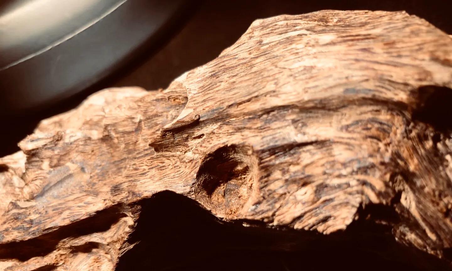 惠安系越南沉香,老惠安和大叻沉香区别