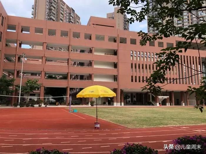 南山蛇口育才一小/二小/三小/四小,哪所更合适你家孩子?