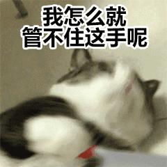 适合学生的平价店铺推荐,平价微胖学生店铺推荐