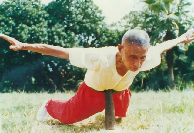 武林奇葩无限制格斗,武林绝学各种招式