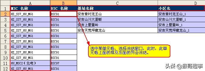 excel表格常用基本操作有哪些,办公室常用excel表格制作教程