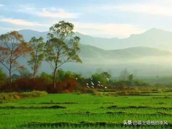 海南最便宜的养老小镇,海南被低估的县