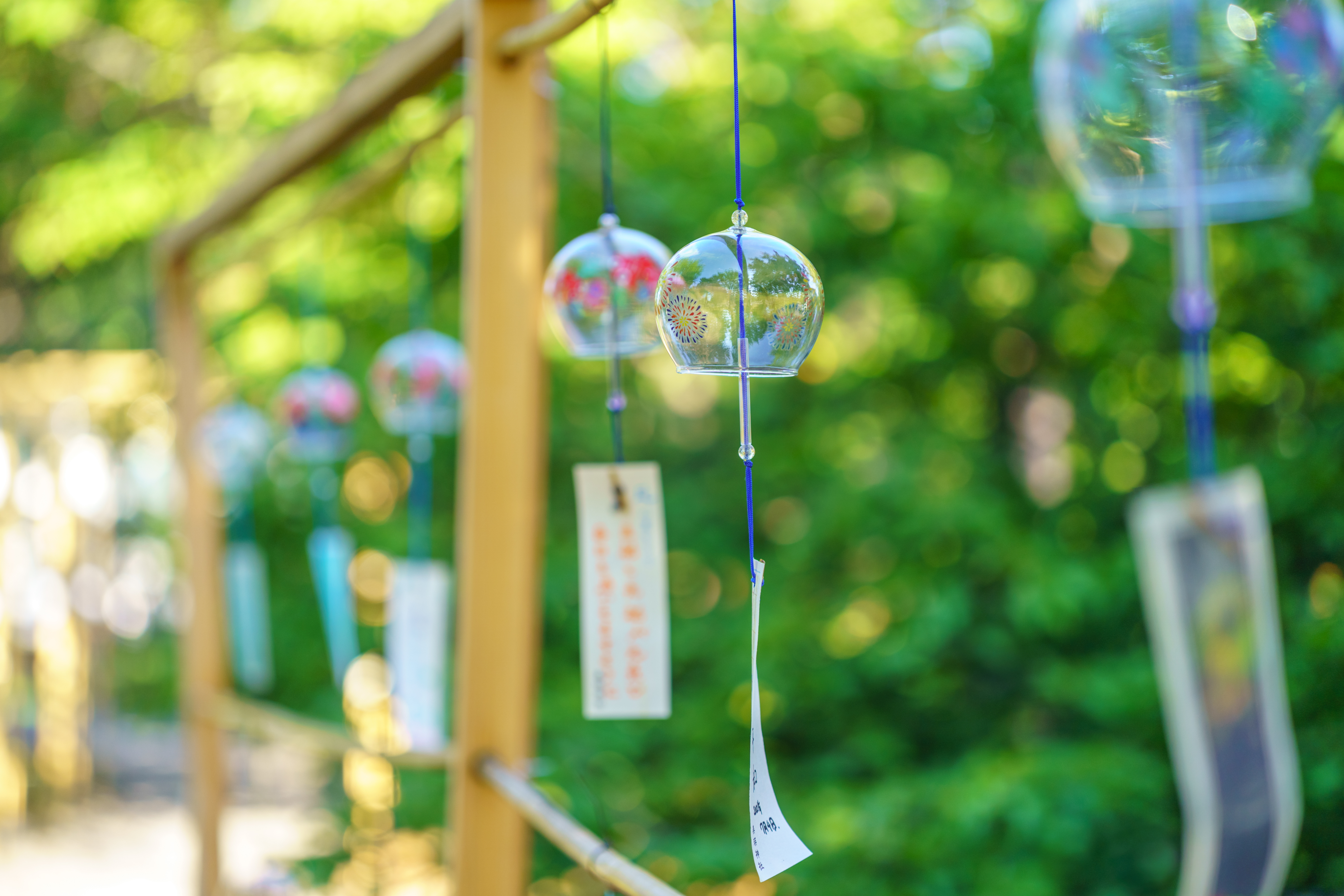 适马90f2.8和索尼90微距对比,适马20mm1.8广角镜头评测