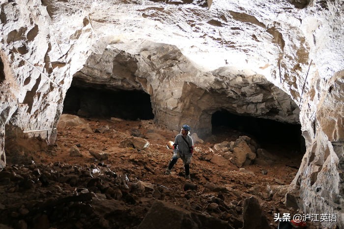 把5000块钱放进微波炉加热消毒,会发生什么?网友分享作死瞬间