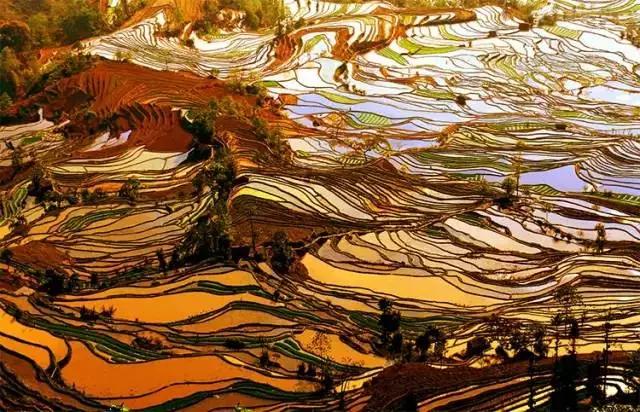 云南适合深秋游玩的地方,云南的秋天适合去哪些景点