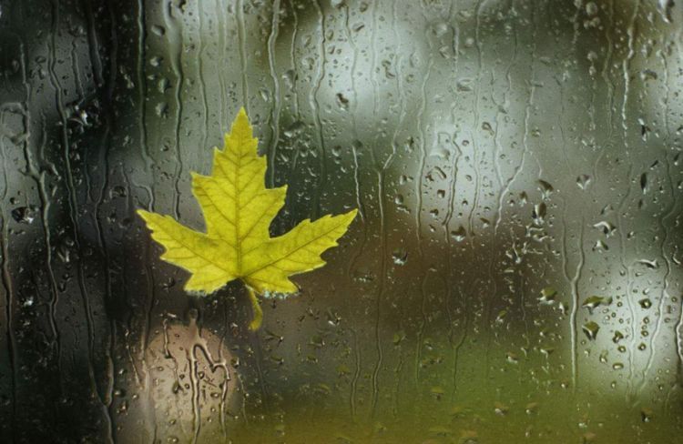 大便粘马桶湿气重怎么调理,大便粘马桶是湿气重的表现吗