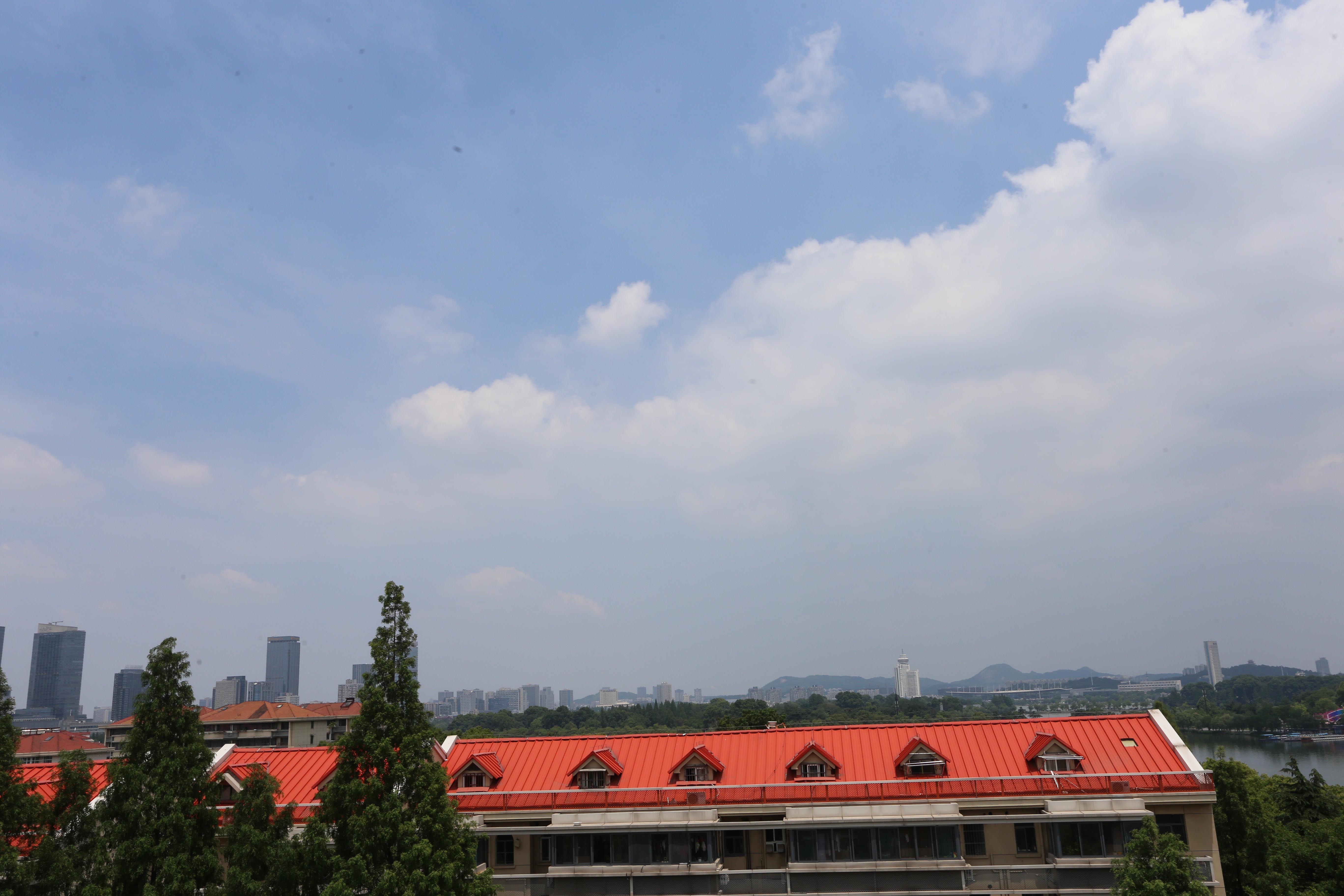 南京的初夏图片,初夏南京风景图片