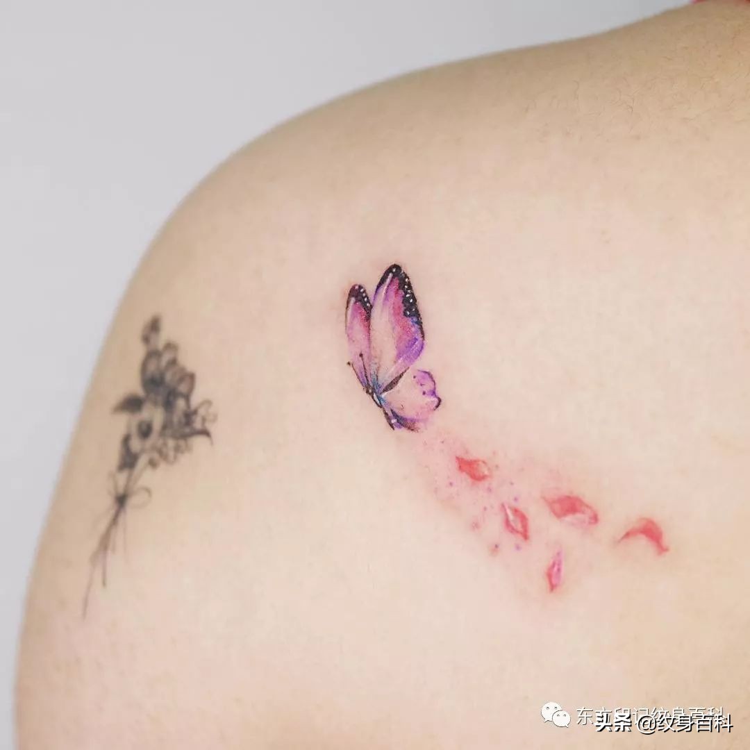 蝴蝶纹身图案代表什么,代表自由的蝴蝶纹身