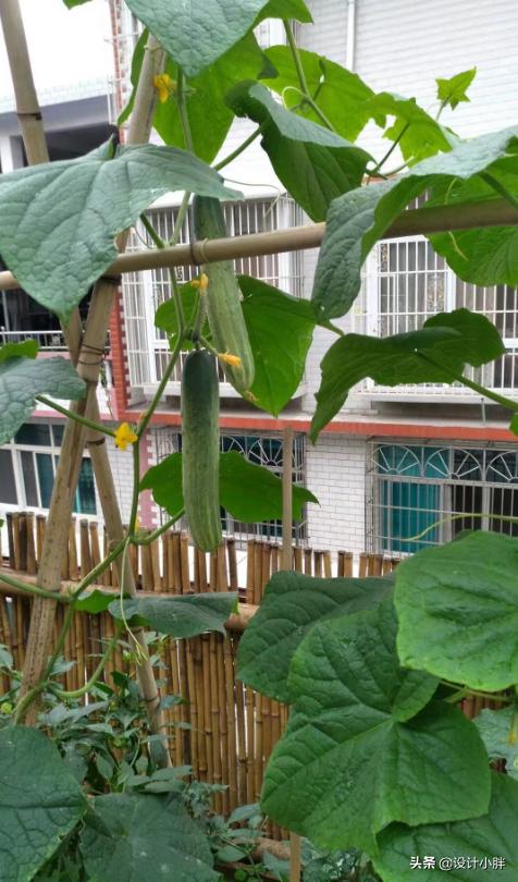 一个人手工diy,一个人的diy可以做什么