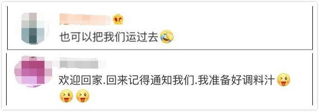 比利时大闸蟹泛滥视频,比利时大闸蟹出口到中国