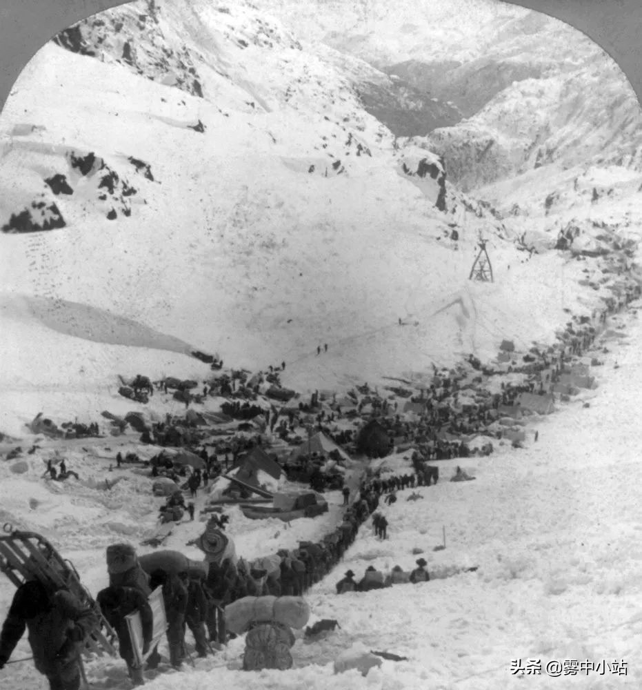 最便宜阿拉斯加多少钱,最便宜又大的阿拉斯加