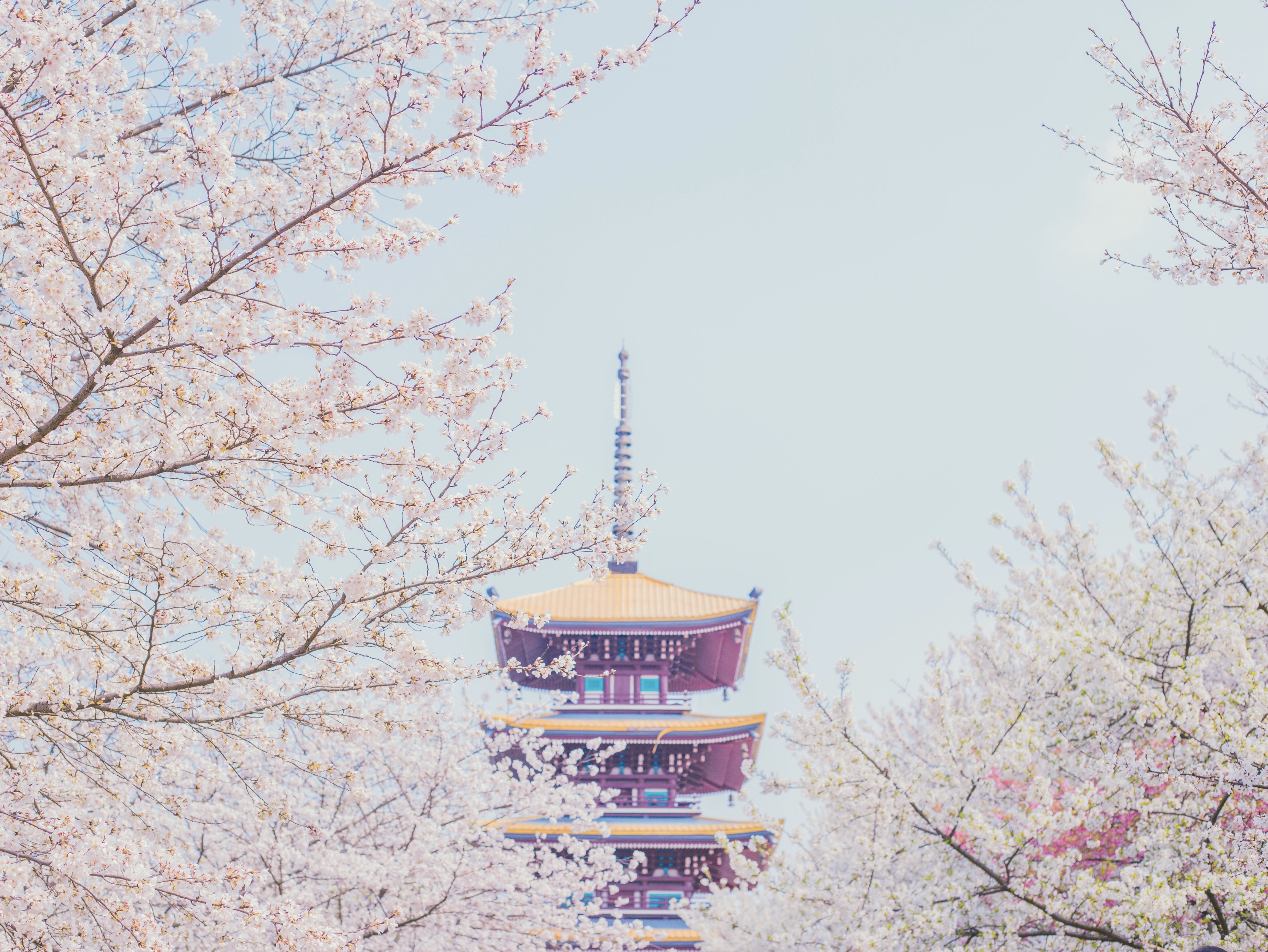 武汉冷知识大全视频,武汉你不知道的冷知识