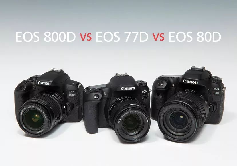 曾经梦想的单反，现在便宜了，为何又不值得买呢？