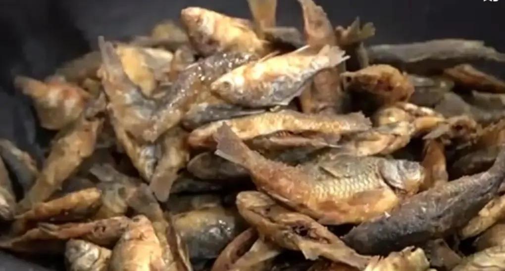 山东百年炖鱼店，鱼鳞鱼刺一起吃，一年用坏500个勺全市无人不晓