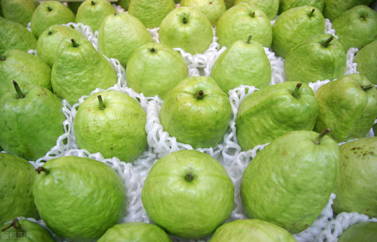 红肉芭乐是什么口感,芭乐有白肉和红肉的吗