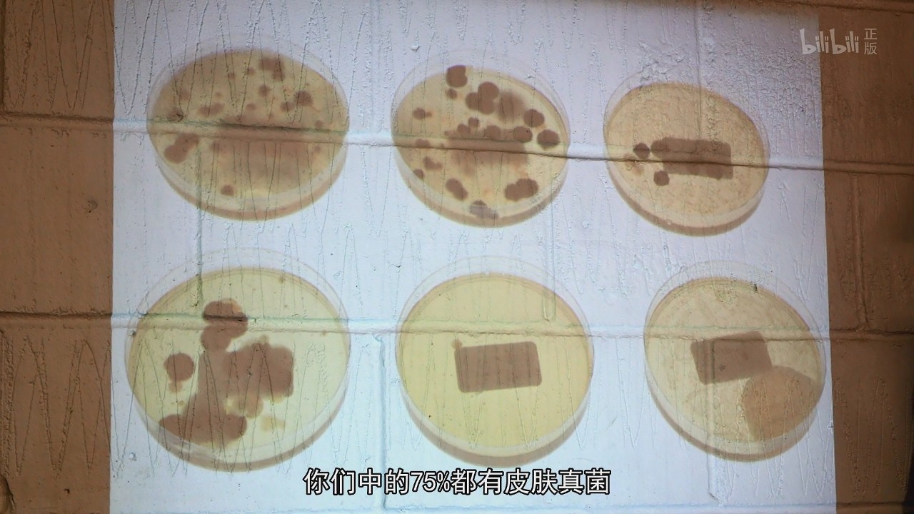 你知道药店里那些花里胡哨的药品，它们的宣传是真的吗？