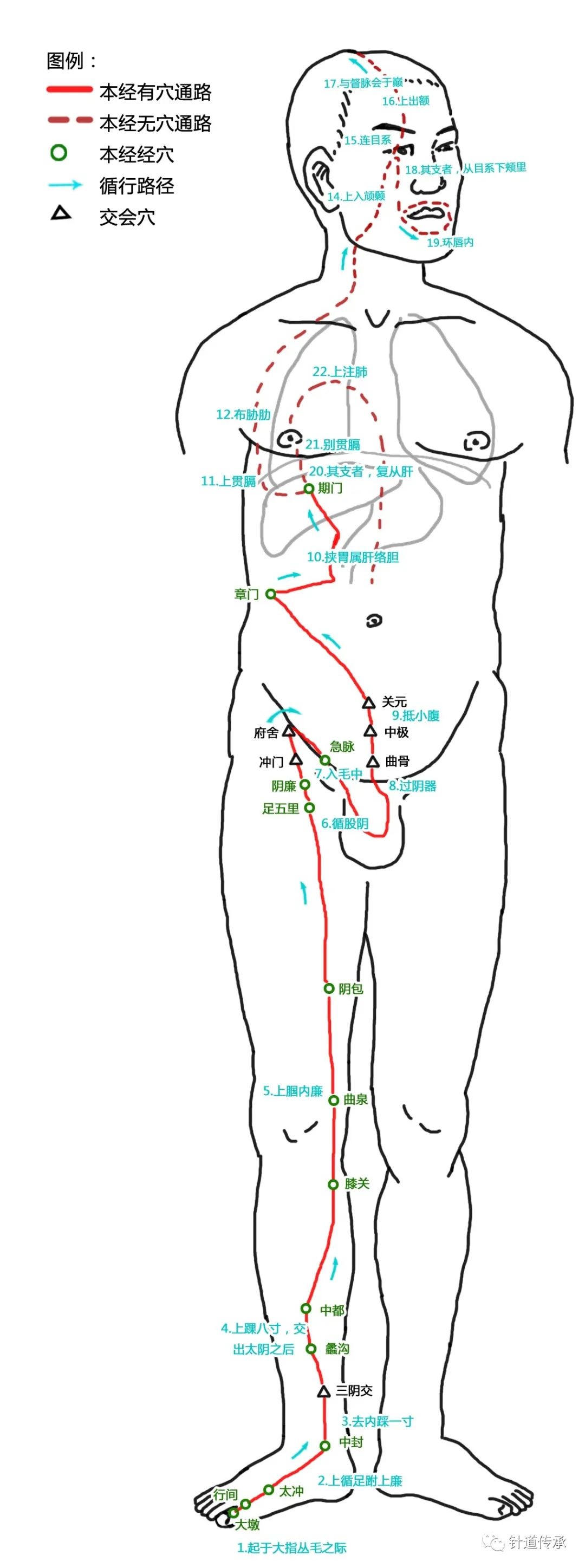 十二经脉穴位很容易记,十二经脉的易堵点