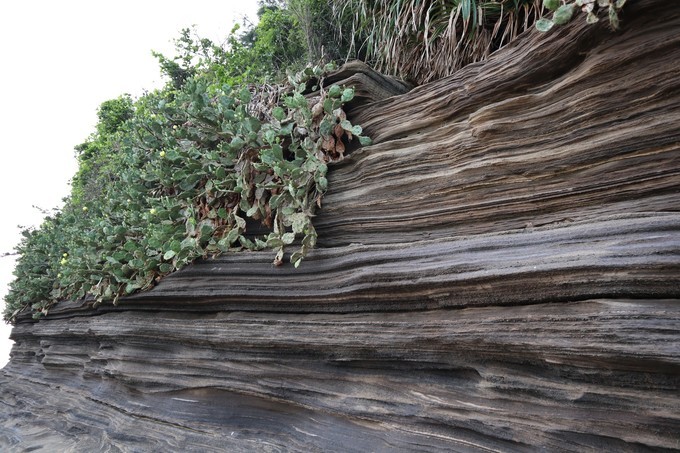 如约而至的涠洲岛,涠洲岛一生所爱