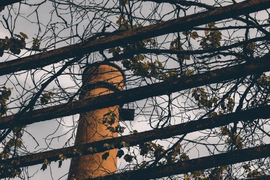 四川内江制药厂现状,内江制药厂现在干什么