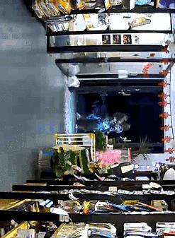 寄养“恶霸”离奇暴毙，医生说，可能是热的……