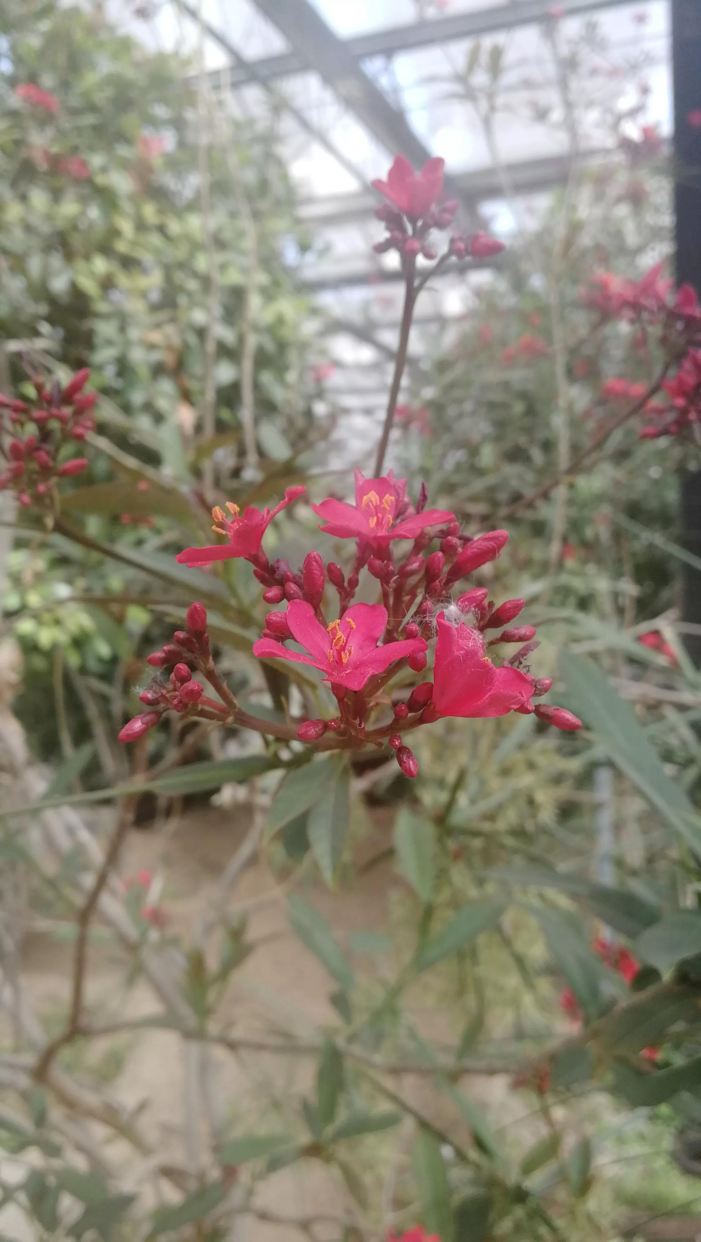 九天休闲谷现在去热吗,九天休闲谷完整版