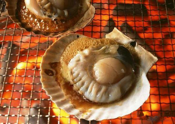 史上最全海鲜视频,史上最全海鲜贝类大全